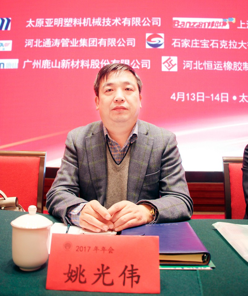武汉金牛经济发展有限公司-副董事长-姚光伟