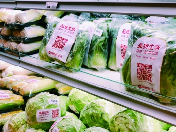 如何让包装“绿”起来？