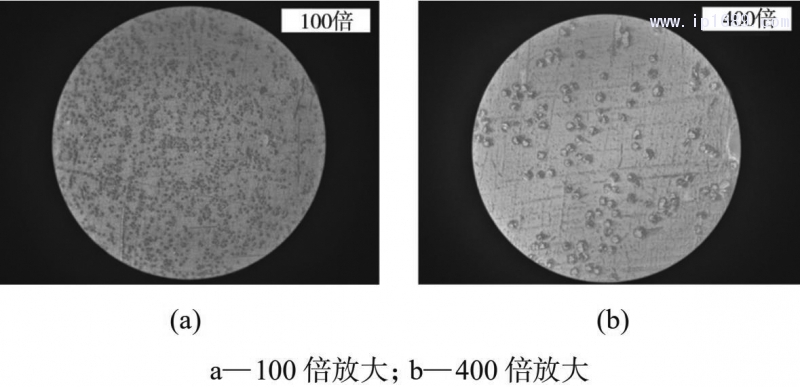 图 9 玻纤在样条截面的分散情况