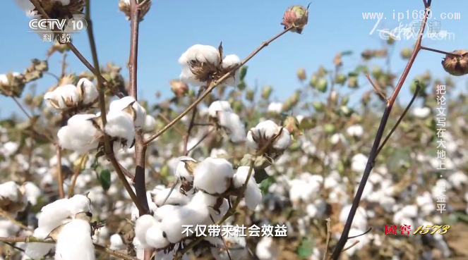 微信图片_20201209163919