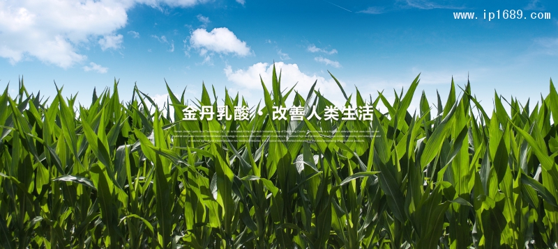 河南金丹乳酸为改善人类生活而不懈努力