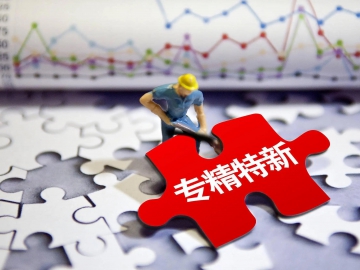 这套“专精特新”模式值得借鉴