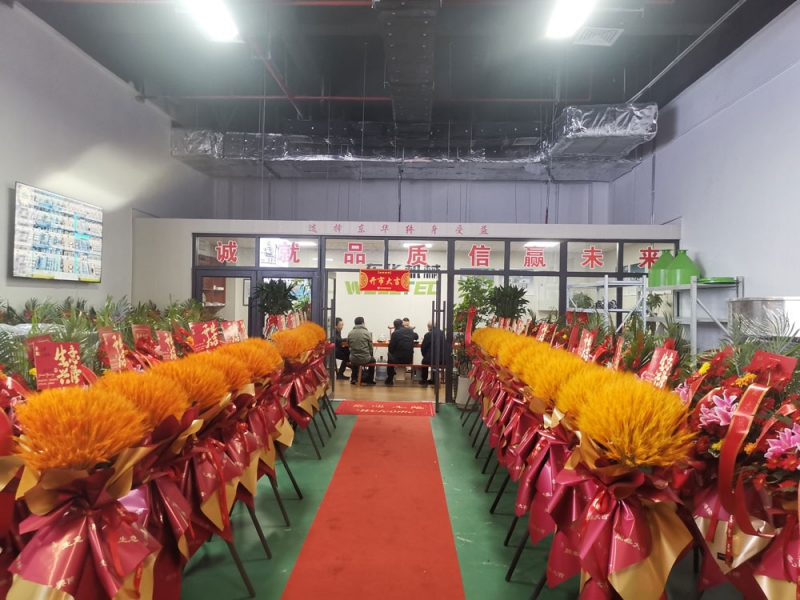 专业团队助力,全方位服务客户
